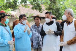 Bupati Gresik Pastikan 3.000 Dosis Vaksin PMK Terdistribusi Merata