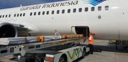 Kementerian BUMN Minta Garuda Indonesia Fokus ke Rute Domestik dan Kargo