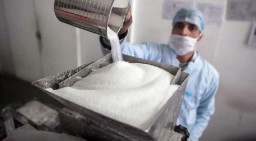 Holding PT Perkebunan Wujudkan Target Swasembada Gula Melalui Pembentukan PT SGN