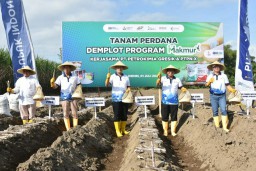 PTPN X Lakukan Tanam Tebu Perdana Program Makmur MT 2022/2023 di Kediri