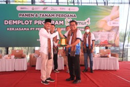 Sinergi Program Makmur Petrokimia Gresik dan PTPN X Berhasil Tingkatkan Produktivitas Tanaman Tebu