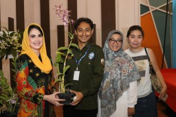 Anggrek 'Dendrobium Arumi Bachsin', Bunganya Secantik Arumi Lho