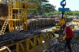 79 Persen Pekerja PG Rejo Agung Warga Sekitar