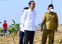 Bupati Fandi Akhmad Yani Optimis Wujudkan Gresik Sentra Produksi Mangga Kualitas Ekspor