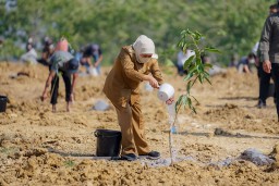 Gubernur : Mangga Jatim Berkontribusi 42 Persen Produksi Nasional