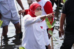 Khofifah Ajak Sedekah Oksigen Dengan Menanam Mangrove