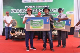 Project Agrosolution PG Berhasil Tingkatkan Pendapatan Petani Benih Kangkung