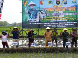 PG Dukung Kodim Ngawi Manfaatkan Lahan Tidur Ditanami Padi