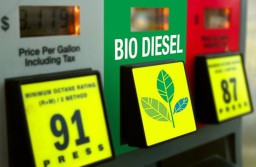 ESDM : Mandatory B35 Menghemat Devisa Rp120,54 Triliun di 2023