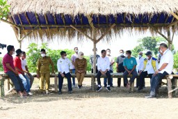 Presiden Joko Widodo Resmikan Lumbung Pangan Berbasis Mangga di Gresik
