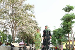 Khofifah Terpukau Keindahan Bunga Tabebuya di Jombang