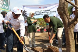 Peringati 2 Dekade Gerakan APUPPT, Bankjatim Tanam Pohon bersama Pemkot Surabaya