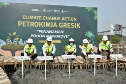 Petrokimia Gresik Ajak Warga Tanam Ribuan Mangrove
