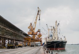Petroport, Upaya PT Petrokimia Gresik Perkuat Inovasi Digital
