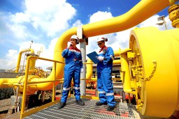 Laba bersih USD 238,6 Juta Semester I 2022, PGN Subholding Gas Pertamina Lanjutkan Tren Positif
