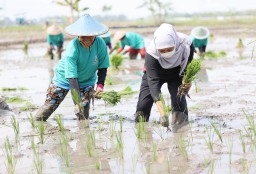 NTP Petani Jatim Tumbuh, Khofifah Optimis Kesejahteraan Meningkat