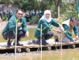 Gubernur Khofifah Nandur Mangrove Bersama BPS Jatim
