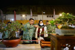 Aneka Bonsai Senilai Rp 25 M Dipamerkan di Banyuwangi