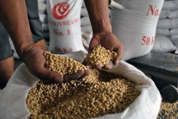 Kemendag Subsidi Kedelai Perajin Tempe Rp 1.000 Perkilo
