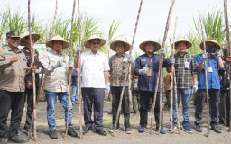 Manfaatkan Hutan, Perhutani Berupaya Wujudkan Swasembada Gula Nasional