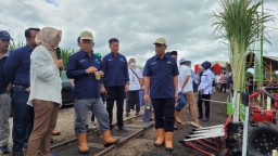 Program Tumpang Sari BULE PTPN XI Menuju Kemandirian Kedelai