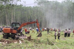 Optimalkan Aset, PTPN X Kembali Kelola 4,4 Hektar Lahan di Jember