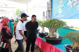 Adenium dan Sansevieria Miliaran Rupiah Dipamerkan di Gresik