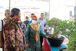 Petani Muda Asal Karangandong Juarai Kontes Adenium Dan Sansevieria Road To Bupati Gresik Cup 2022