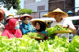 Kampung Sayur, Upaya Pemkot Surabaya Jaga Ketahanan Pangan