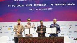 Kolaborasi BUMN Wujudkan Percepatan Energi Baru Terbarukan