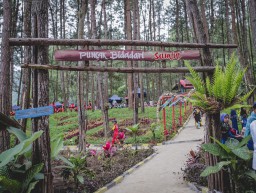 Intip Panorama Wisata Air Terjun 7 Bidadari di Jember
