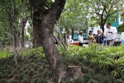 Eri Cahyadi Minta Semua Taman Kota Surabaya Dipercantik