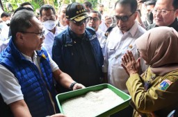 Mendag : Harga Beras Naik Karena Serapan Gabah Tinggi