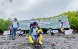 PLN Tanam 5.000 Bibit Mangrove di Teluk Pangpang Banyuwangi