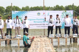 Bupati Gresik Bersama Petronas dan SKK Migas Tanam 10.000 Bibit Mangrove