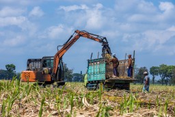 Hingga November, Giling Tebu PTPN X Sudah Lampaui Target 2022