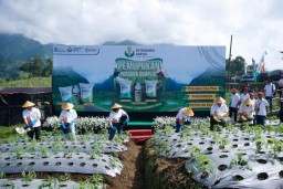 Petrokimia Gresik Kenalkan Pupuk Nonsubsidi ke Petani Wonosobo