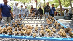 Dorong Sektor Perikanan, Banyuwangi Gelar Festival Nelayan Tangguh