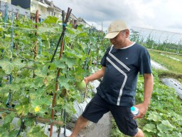 Inovasi NK Cafe Kembangkan Inovasi Bibit Tanaman Buah dan Sayur