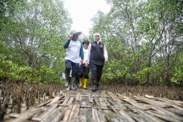 IKA UNAIR dan Relawan Tanam Mangrove dan Cemara Udang