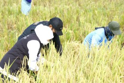 Khofifah Apresiasi Surplus Beras Kabupaten Ngawi Tertinggi se Indonesia Saat Paceklik
