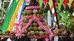Rebutan Durian Warnai Kemeriahan Festival Kenduri Durio Trenggalek