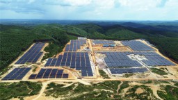 PLN Indonesia Power Dukung Pemerintah Capai Target Indonesia Lebih Hijau