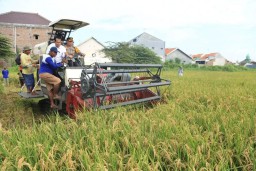 Dukung Ketahanan Pangan, Pemkot Probolinggo Kembangkan Pertanian Organik