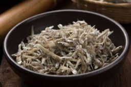 Pakar Bioteknologi Unair Teliti Potensi Ikan Teri Cegah Penyakit Menular