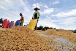 Nilai Tukar Petani Jatim Pada April 2024 Sebesar 107,58 Persen