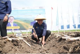 Region Head PTPN I Regional 4 Komitmen Jaga Proses Bisnis Berwawasan Lingkungan