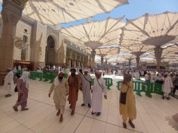 PPPIH Madinah Siapkan Hotel Jamaah Haji, Ada Yang Berhadapan Dengan Pintu Masjid Nabawi
