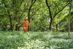 SBI Alokasikan Separuh Area Pabrik Cilacap sebagai Hutan Kota