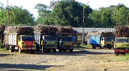 PG Assembagoes Situbondo Targetkan Giling 4,2 Juta Kuintal Tebu